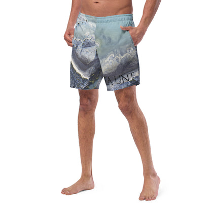 Sea UNT's Deep Dive Swim Trunks